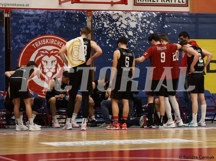 Basketball Zweite Liga 2024/25, Grunddurchgang 22.Runde Traiskirchen Lions NextGen vs. Mistelmach Mustangs