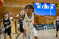 12.01.2025 Österreichischer Basketballverband 2024/25, SLMU14, SU Döbling vs Vienna Giants
