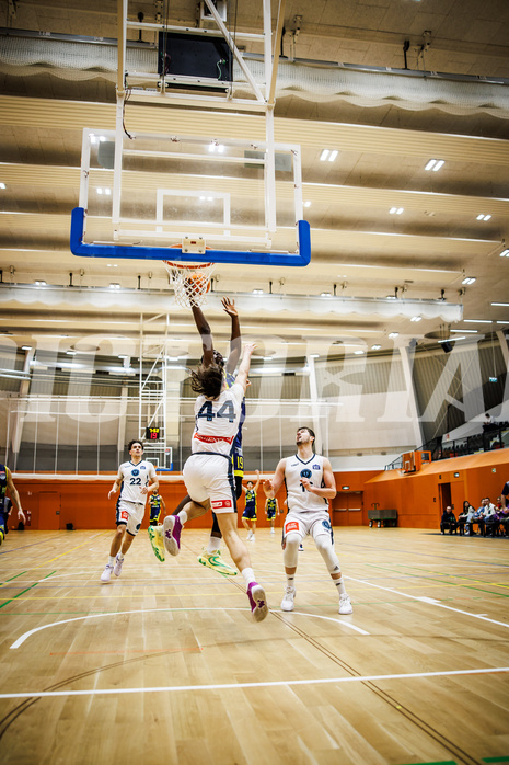 Basketball, Basketball Zweite Liga 2024/25, Grunddurchgang 17.Runde, Vienna Timberwolves, Future Team Steiermark, Ivor Kuresevic (44), Simon Okoro (19)