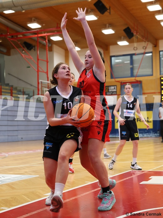 Basketball Superliga 2024/25, SLWU16 Traiskirchen Lionesses vs. DBK Steyrer Witch Cadets


