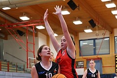 Basketball Superliga 2024/25, SLWU16 Traiskirchen Lionesses vs. DBK Steyrer Witch Cadets


