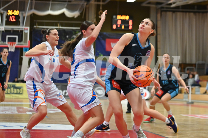 Basketball Superliga 2024/25, Grunddurchgang 8.Runde, DBB Wels vs Vienna Timberwolves,

