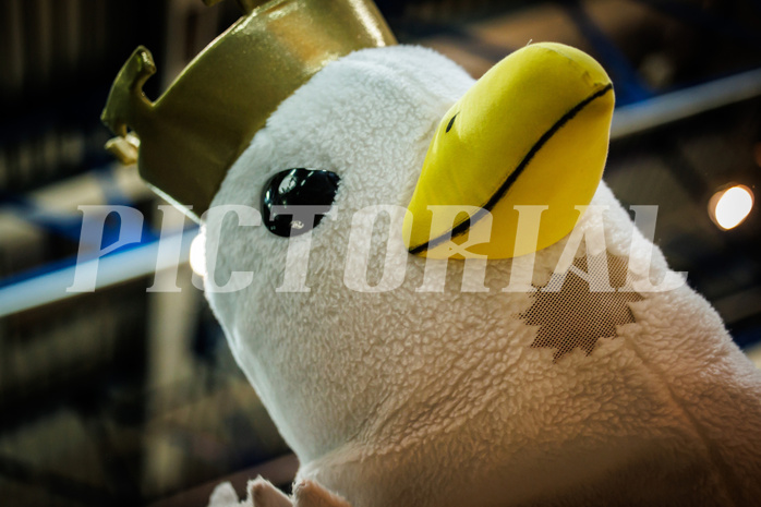 Basketball, Basketball Austria Cup 2022/23, Halbfinale 1, Oberwart Gunners, Gmunden Swans, #mascot