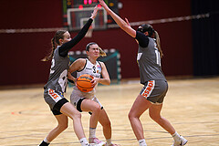 Basketball Damen Superliga 2023/24, Grunddurchgang, 13 Runde Basket Flames vs. Duchess Klosterneuburg


