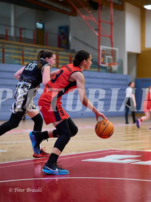 Basketball Superliga 2024/25, SLMU16 Traiskirchen Lionesses vs. VKL Vikings Kammer


