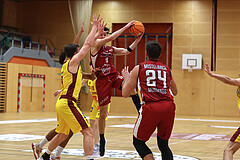 Basketball Zweite Liga 2024/25, Grunddurchgang 9.Runde Mistelbach Mustangs vs. Trasikirchen NextGen


