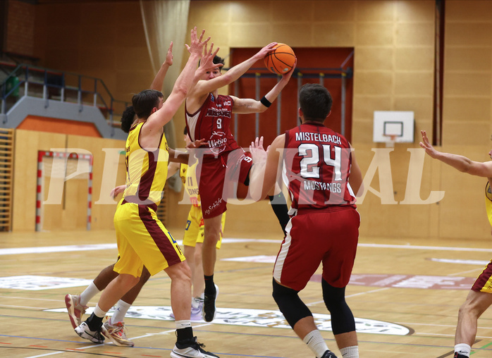 Basketball Zweite Liga 2024/25, Grunddurchgang 9.Runde Mistelbach Mustangs vs. Trasikirchen NextGen


