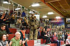 Basketball Superliga 2019/20, Grunddurchgang 11. Runde Flyers Wels vs. BC Hallman Vienna