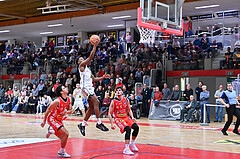 Basketball, Superliga 2024/25, Grunddurchgang 10.Runde, Flyers Wels vs. Traiskirchen Lions,
