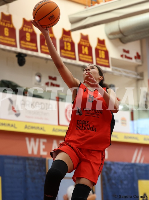 Basketball Superliga 2024/25, SLWU16 Traiskirchen Lionesses vs. DBK Steyrer Witch Cadets


