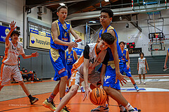 14.12.2024 Österreichischer Basketballverband 2024/25, SLMU14, Basket Dukes vs. SKN St. Pölten
