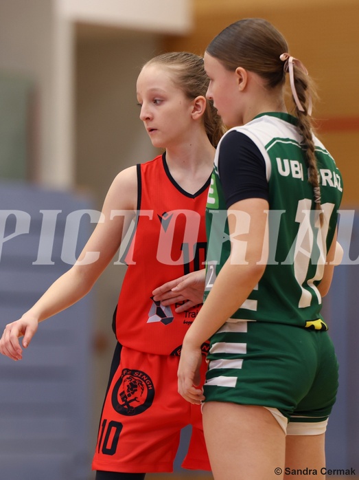 Basketball Superliga 2024/25, SLWU14 Traiskirchen Lionesses vs. UBI Graz



