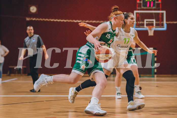 Basketball Basketball Superliga 2020/21, Halbfinale Spiel 2 Basket Flames vs. UBI Graz
