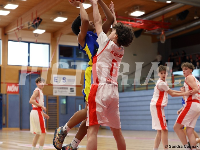 Basketball Superliga 2024/25, SLMU14 Traiskirchen Lions Academy vs. UBSC Juniors



