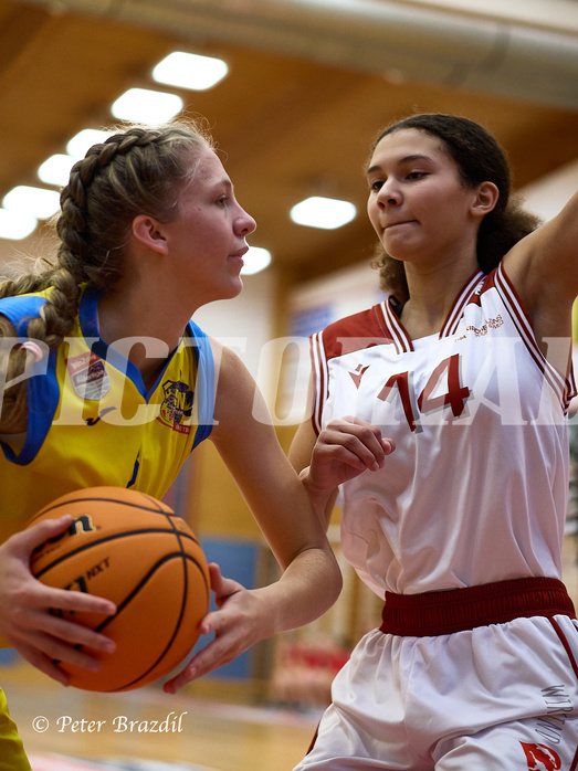 Basketball Superliga 2024/25, SLWU16 Traiskirchen Lionesses vs. UBBC Herzogenburg


