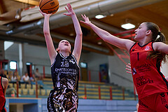 Basketball Superliga 2024/25, SLMU16 Traiskirchen Lionesses vs. VKL Vikings Kammer


