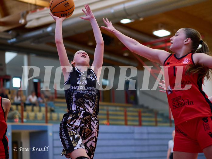 Basketball Superliga 2024/25, SLMU16 Traiskirchen Lionesses vs. VKL Vikings Kammer


