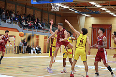 Basketball Zweite Liga 2024/25, Grunddurchgang 9.Runde Mistelbach Mustangs vs. Trasikirchen NextGen


