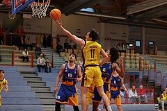 Basketball Zweite Liga 2024/25, Grunddurchgang 8.Runde Traiskirchen Lions NextGen vs. BBU Salzburg


