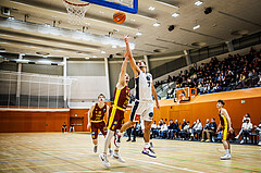 Basketball, Basketball Zweite Liga 2024/25, Grunddurchgang 20.Runde, Vienna Timberwolves, Traiskirchen Lions NexGen, Armin Karian (7)
