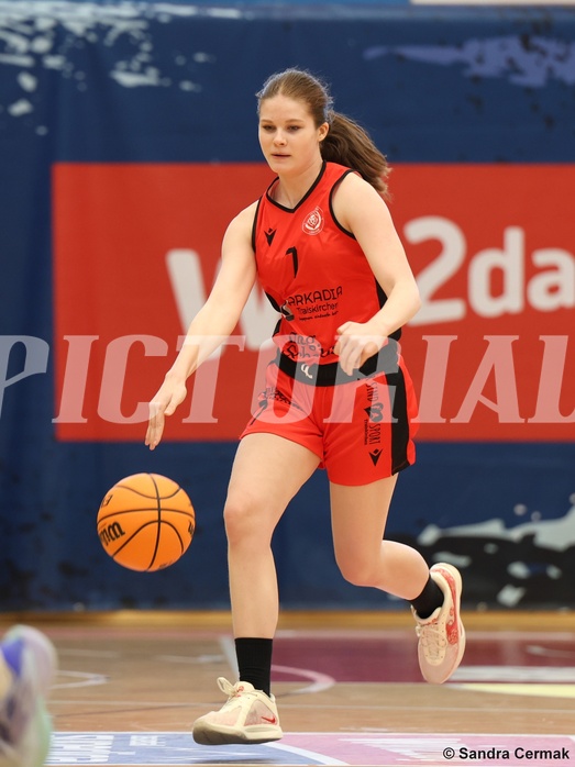 Basketball Superliga 2024/25, SLWU16 Traiskirchen Lionesses vs. DBK Steyrer Witch Cadets


