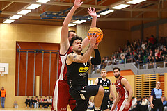 Basketball Zweite Liga 2024/25, Grunddurchgang 7.Runde Mistelbach Mustangs vs. Mattersburg Rocks


