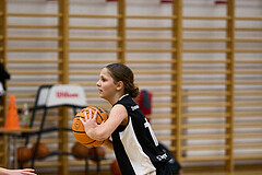 Basketball Superliga 2024/25, SLWU14 Traiskirchen Lionesses vs. DBK Steyrer Witches


