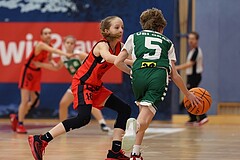 Basketball Superliga 2024/25, SLWU14 Traiskirchen Lionesses vs. UBI Graz


