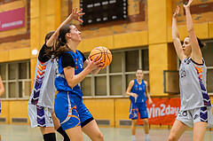 Basketbal lAustria Cup 2024/25, Viertelfinale Vienna United vs. DBB Wels


