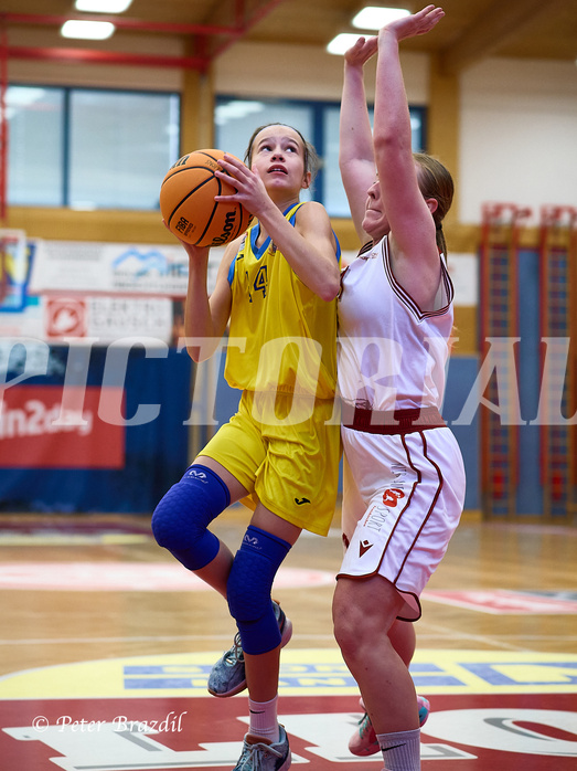 Basketball Superliga 2024/25, SLWU16 Traiskirchen Lionesses vs. UBBC Herzogenburg


