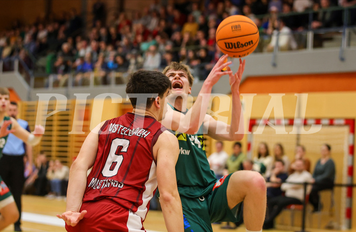 Basketball Zweite Liga 2023/24, Playoff Viertelfinale Spiel 1 Mistelbach Mustangs vs. Dornbirn Lions


