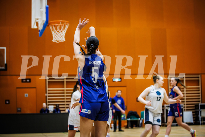 Basketball, SLWU19 Basketball Damen Superliga 2024/25, Vienna Timberwolves, DBB LZ OÖ, 