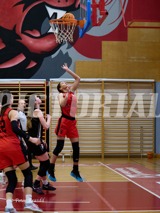Basketball Superliga 2024/25, SLWU16 Traiskirchen Lionesses vs. BBC Nord Dragons


