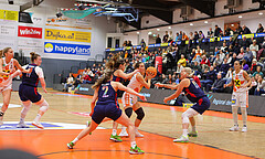 Basketball Damen Superliga 2023/24, Grunddurchgang Spiel 4 BK Duchess Klosterneuburg vs. SKN St.Pölten


