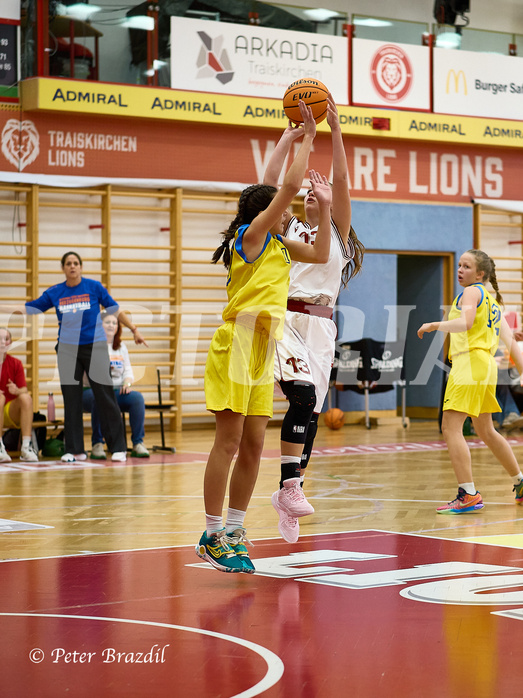 Basketball Superliga 2024/25, SLWU16 Traiskirchen Lionesses vs. UBBC Herzogenburg


