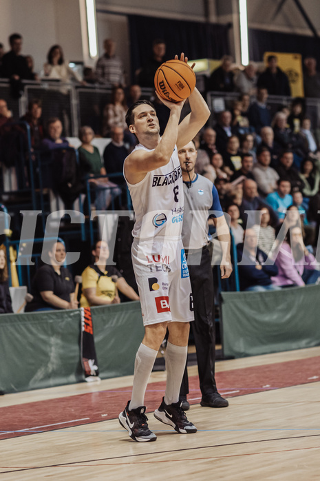 Basketball, Basketball Zweite Liga 2023/24, Viertelfinale Spiel 2, Blackbirds G