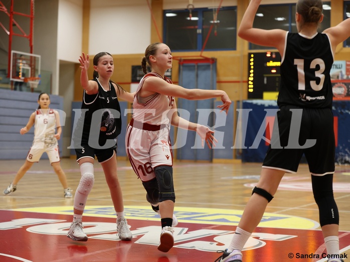 Basketball Superliga 2024/25, SLWU14 Traiskirchen Lionesses vs. ATUS Gratkorn Scorpions



