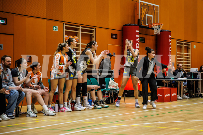 Basketball, Win2Day Basketball Damen Superliga 2024/25, Grunddurchgang 9.Runde, Vienna Timberwolves, Klosterneuburg Duchess, Klosterneuburg Duchess