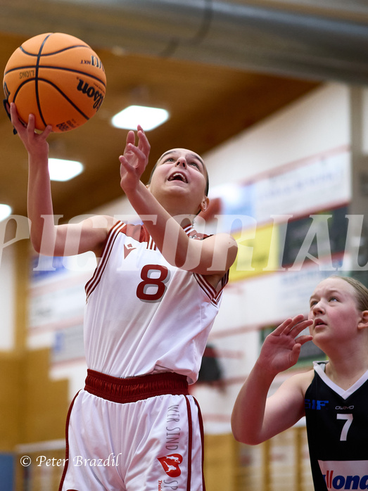 Basketball Superliga 2024/25, SLWU14 Traiskirchen Lionesses vs. DBK Steyrer Witches


