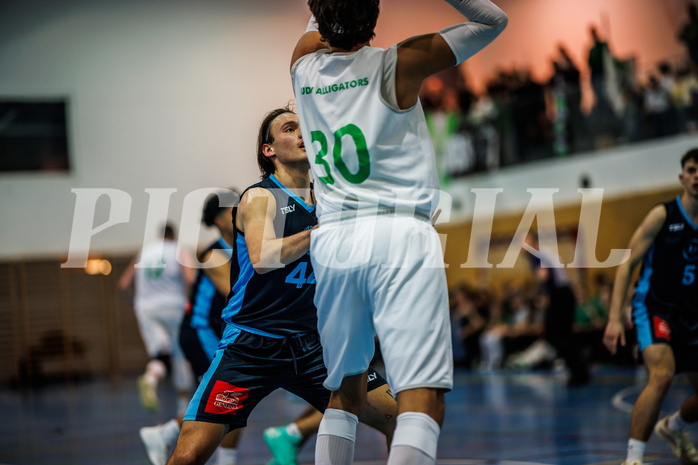 Basketball, Basketball Zweite Liga 2024/25, Grunddurchgang 13.Runde, UDW Alligators, Vienna Timberwolves, Ivor Kuresevic (44)