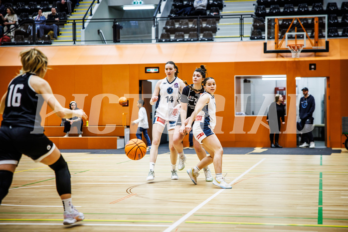 Basketball, Win2Day Basketball Damen Superliga 2024/25, Grunddurchgang 14.Runde, Vienna Timberwolves, Basket Flames, Valentina Mraulak (21)