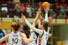 Basketball Damen Superliga 2024/25, Grunddurchgang 6.Runde Vienna United vs. Vienna Timberwolves


