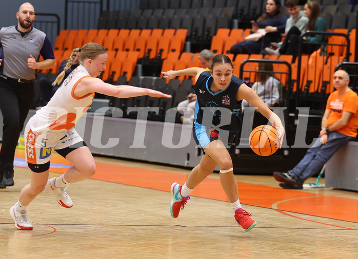 Basketball Damen Superliga 2024/25, Grunddurchgang 5.Runde BK Duchess Klosterneuburg vs. Vienna Timberwolves


