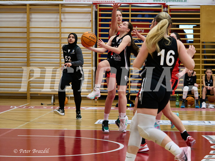Basketball Superliga 2024/25, SLWU16 Traiskirchen Lionesses vs. BBC Nord Dragons


