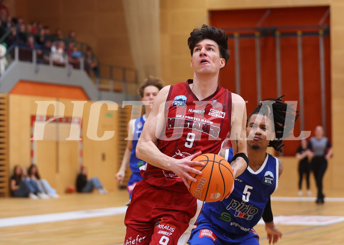Basketball Zweite Liga 2024/25, Playoffs, Viertelfinale Spiel 1 Mistelbach Mustangs vs. Kufstein Towers