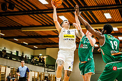 Basketball, Basketball Zweite Liga 2024/25, Grunddurchgang 19.Runde, Mattersburg Rocks, Future Team Steiermark, Petar Zivkovic (8)