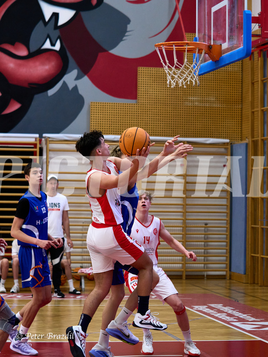 Basketball Superliga 2024/25, SLMU16 Traiskirchen Lions vs. FCN Baskets Wels


