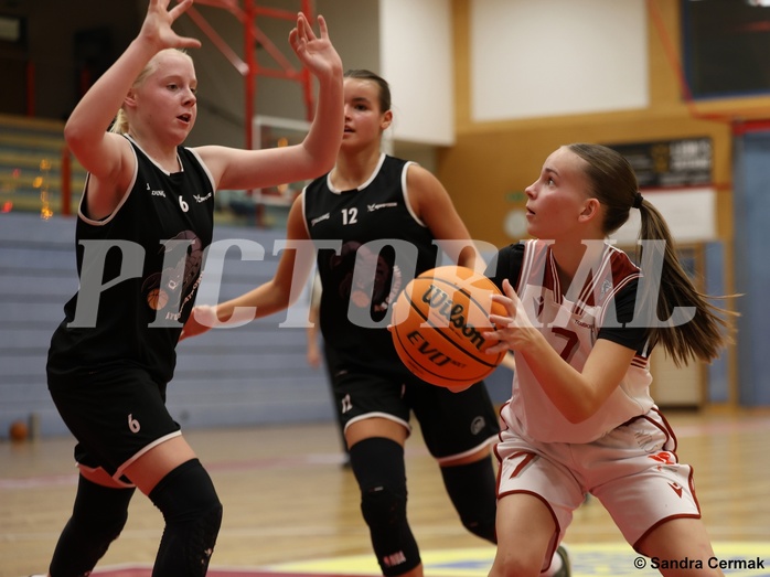 Basketball Superliga 2024/25, SLWU14 Traiskirchen Lionesses vs. ATUS Gratkorn Scorpions


