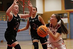 Basketball Superliga 2024/25, SLWU14 Traiskirchen Lionesses vs. ATUS Gratkorn Scorpions


