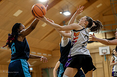 23.02.2025 Österreichischer Basketballverband 2024/25, SLWU14 Vienna United vs. Vienna Timberwolves